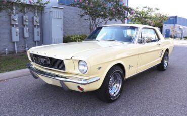 Unknown-Mustang-1966-Yellow-Black