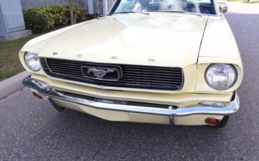 Unknown-Mustang-1966-Yellow-Black-6