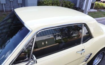 Unknown-Mustang-1966-Yellow-Black-9