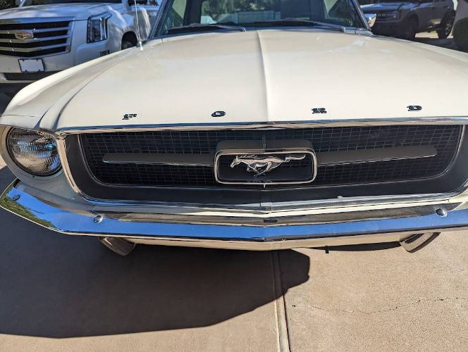 Unknown-Mustang-1967-1