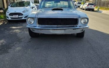Unknown-Mustang-1967-11