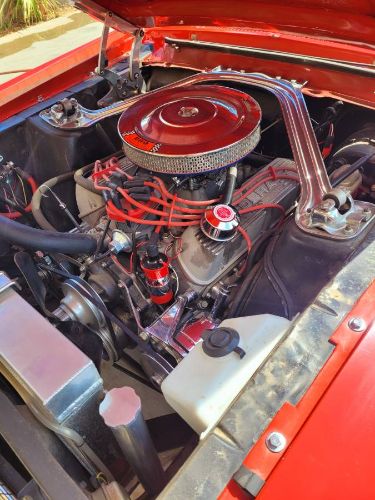 Unknown-Mustang-1967-12