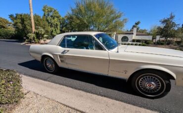 Unknown-Mustang-1967