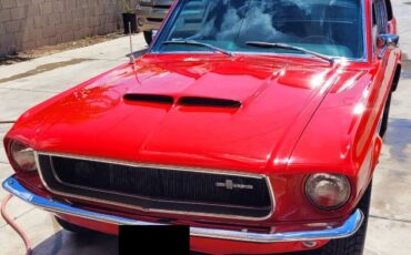 Unknown-Mustang-1967-3