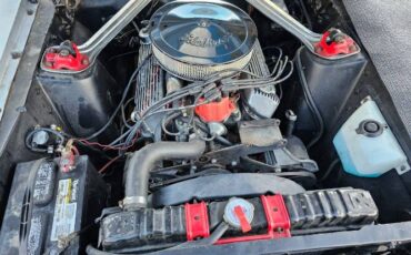 Unknown-Mustang-1967-7