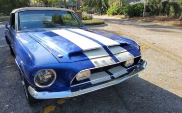 Unknown-Mustang-1967-Blue-1
