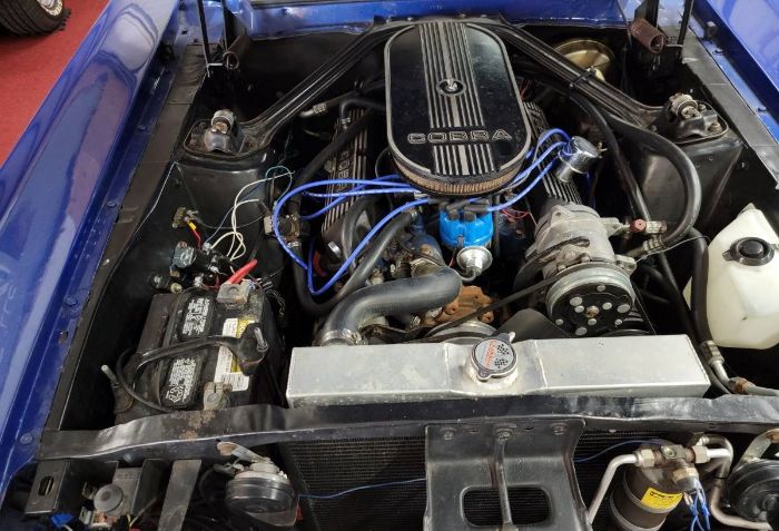 Unknown-Mustang-1967-Blue-13