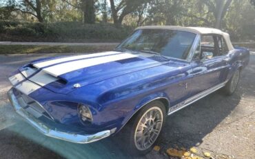 Unknown-Mustang-1967-Blue-4