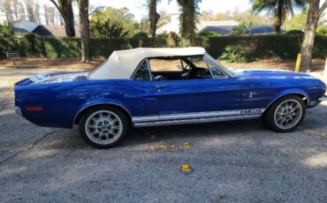 Unknown-Mustang-1967-Blue-7