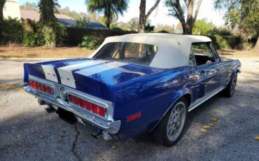 Unknown-Mustang-1967-Blue-9