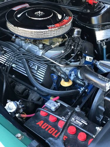 Unknown-Mustang-1967-Dark-Moss-Green-Black-11