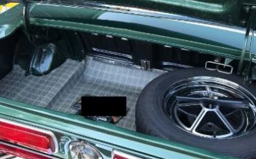 Unknown-Mustang-1967-Dark-Moss-Green-Black-14