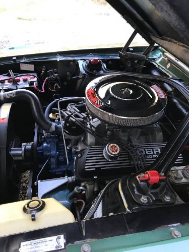 Unknown-Mustang-1967-Dark-Moss-Green-Black-16