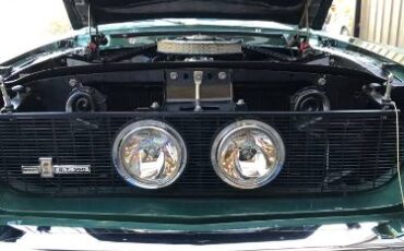 Unknown-Mustang-1967-Dark-Moss-Green-Black-17