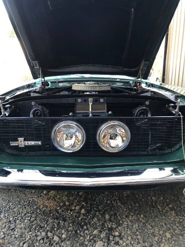 Unknown-Mustang-1967-Dark-Moss-Green-Black-17