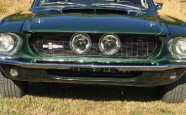 Unknown-Mustang-1967-Dark-Moss-Green-Black-8