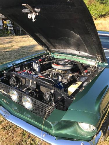 Unknown-Mustang-1967-Dark-Moss-Green-Black-9
