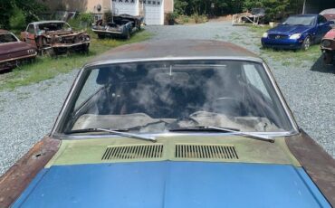 Unknown-Mustang-1967-Green-24