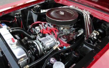 Unknown-Mustang-1967-Red-Black-24