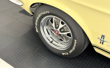 Unknown-Mustang-1967-Springtime-Yellow-Black-16