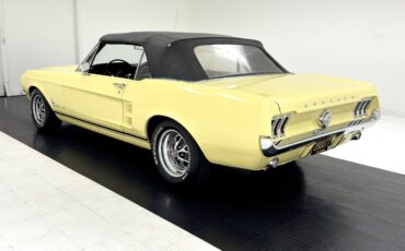 Unknown-Mustang-1967-Springtime-Yellow-Black-17