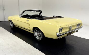 Unknown-Mustang-1967-Springtime-Yellow-Black-18