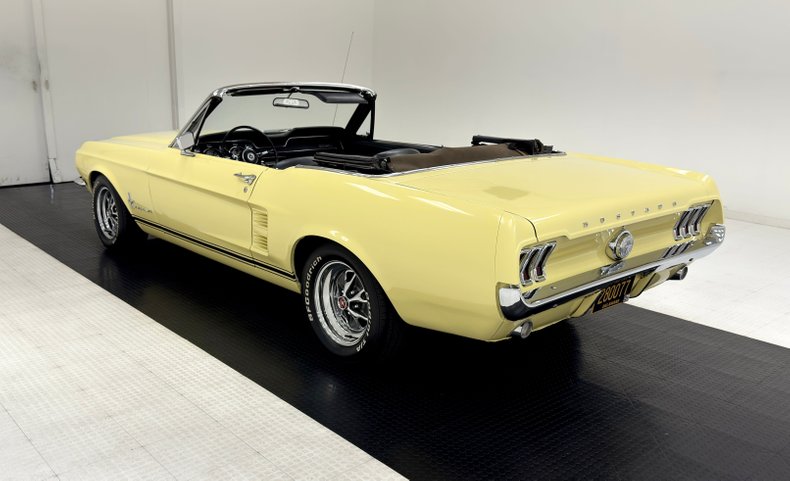 Unknown-Mustang-1967-Springtime-Yellow-Black-18