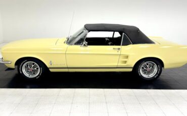 Unknown-Mustang-1967-Springtime-Yellow-Black-2