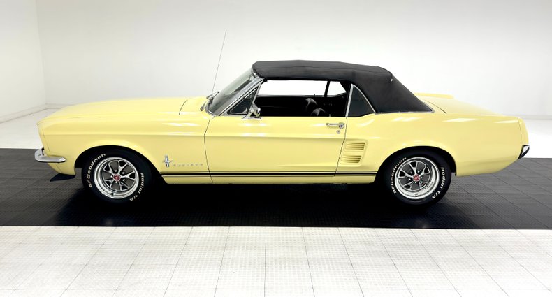 Unknown-Mustang-1967-Springtime-Yellow-Black-2