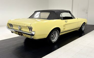 Unknown-Mustang-1967-Springtime-Yellow-Black-20