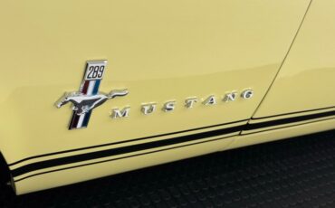 Unknown-Mustang-1967-Springtime-Yellow-Black-23