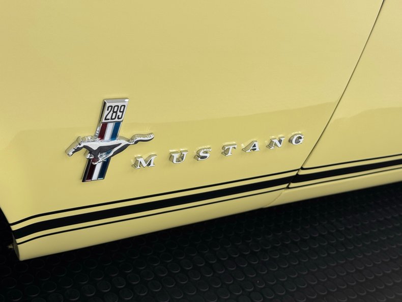 Unknown-Mustang-1967-Springtime-Yellow-Black-23