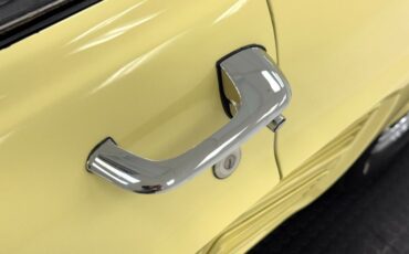 Unknown-Mustang-1967-Springtime-Yellow-Black-27