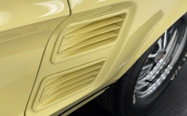 Unknown-Mustang-1967-Springtime-Yellow-Black-28