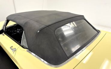 Unknown-Mustang-1967-Springtime-Yellow-Black-29