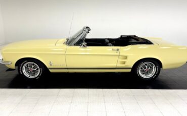 Unknown-Mustang-1967-Springtime-Yellow-Black-3