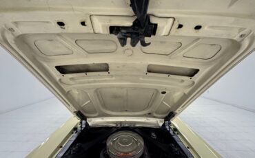 Unknown-Mustang-1967-Springtime-Yellow-Black-32
