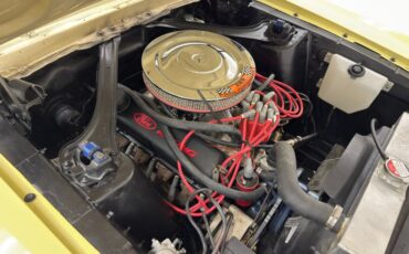 Unknown-Mustang-1967-Springtime-Yellow-Black-33