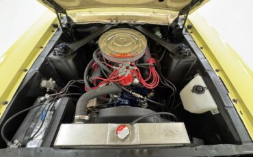 Unknown-Mustang-1967-Springtime-Yellow-Black-34