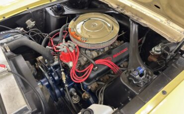 Unknown-Mustang-1967-Springtime-Yellow-Black-35