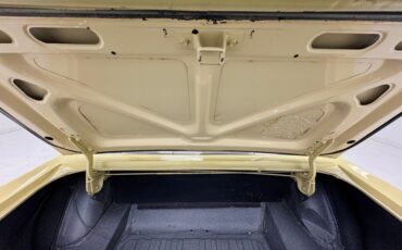 Unknown-Mustang-1967-Springtime-Yellow-Black-36
