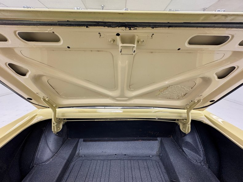 Unknown-Mustang-1967-Springtime-Yellow-Black-36