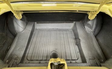 Unknown-Mustang-1967-Springtime-Yellow-Black-38