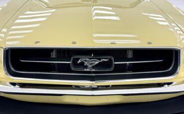 Unknown-Mustang-1967-Springtime-Yellow-Black-4