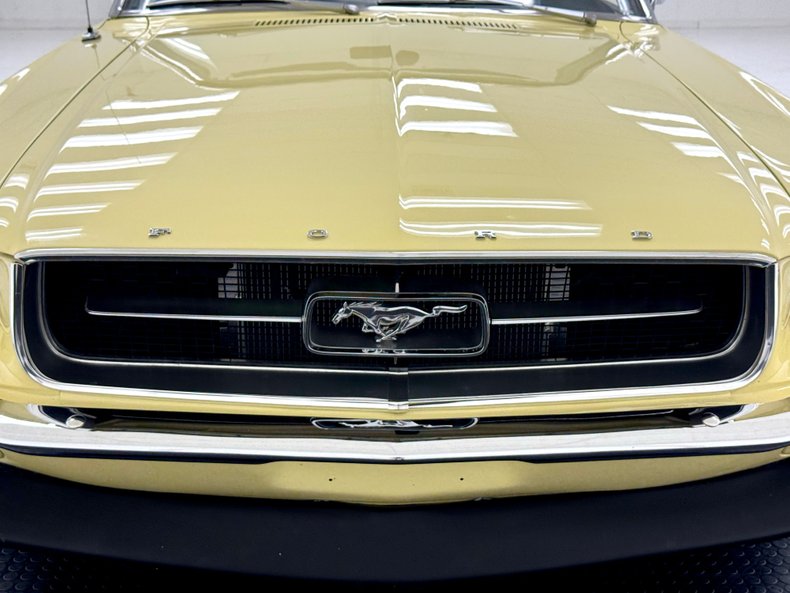 Unknown-Mustang-1967-Springtime-Yellow-Black-4
