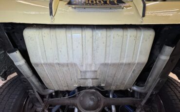 Unknown-Mustang-1967-Springtime-Yellow-Black-46