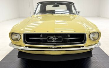Unknown-Mustang-1967-Springtime-Yellow-Black-48