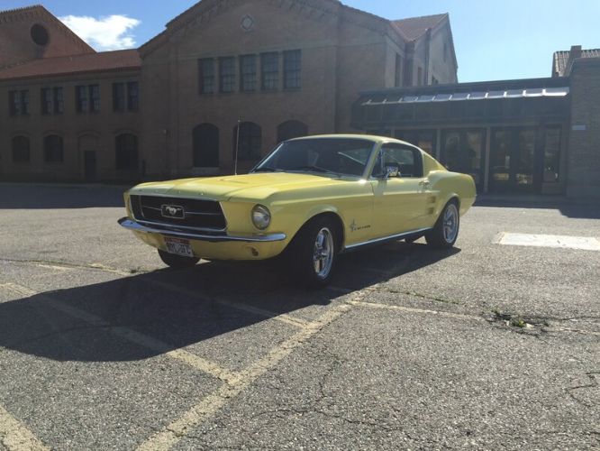 Unknown-Mustang-1967-Yellow-Black-2