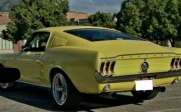 Unknown-Mustang-1967-Yellow-Black-2