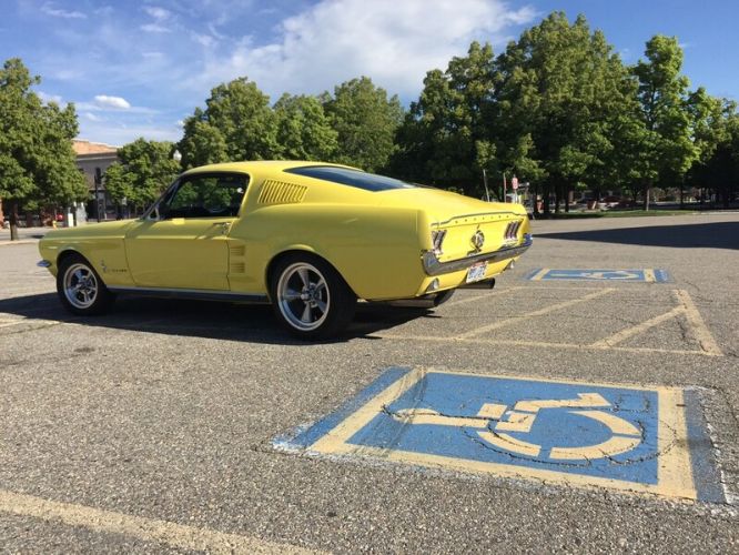Unknown-Mustang-1967-Yellow-Black-3
